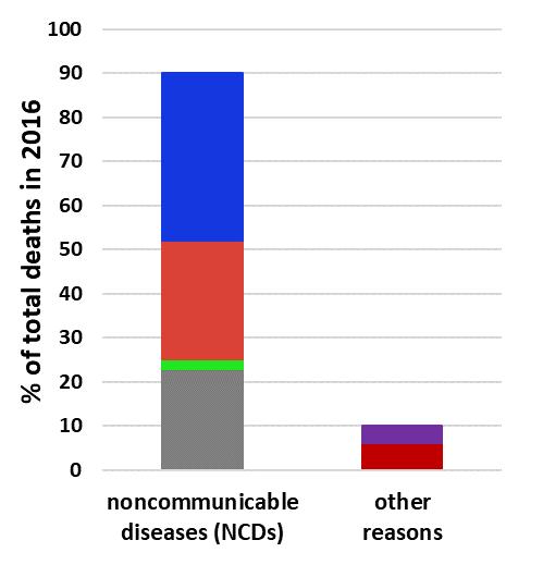 The burden of noncommunicable diseases (NCDs) death statistics