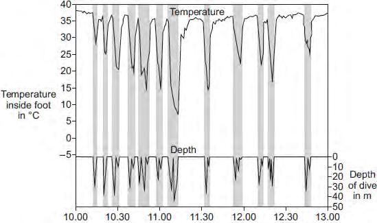 (3) (ii) Graph 2 shows the relationship between the temperature inside a penguin s foot and diving. The shaded areas show when the penguin was diving.