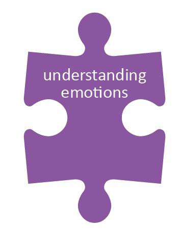 Understanding emotions II. Genos A four part model and the full seven skill model provides different levels of assessment.