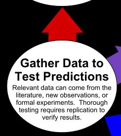 Gather Data: Observe and Record Qualitative data gathering
