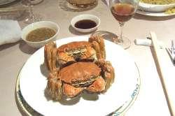 To prevent salt loss the kidneys are modified. For example Eriocher (Crab) is Euryhaline.