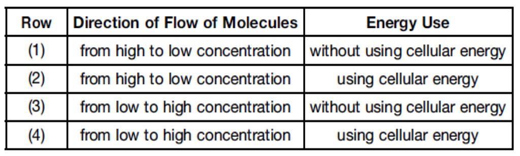5 Which row in the chart below best explains the movement of some molecules between the model cell and the solution in the beaker?