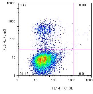 CD103 + DC promote the expression of Foxp3 by naïve T cells CD103+ CD103- DC Foxp3 CD103 Proliferation Cytokines?