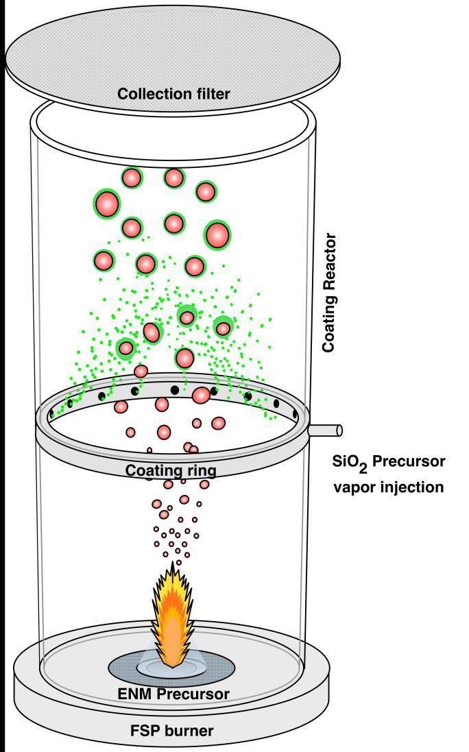 Strategy: In flight SiO 2 coating on ZnO nanoparticles Particle collection SiO 2 -coating SiO