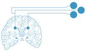 Farrall Consultant Neuroradiologist SFC Brain Imaging
