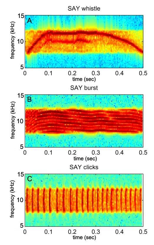 Study 2 Masked detection thresholds for complex signals in complex noise The methodology of Study 2 was similar to Study 1, however instead of a pure-tone signal, seven complex signals were used.
