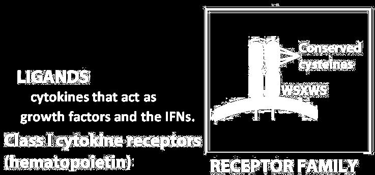 Most cytokines use broadly similar receptor molecules (sometimes called the hemopoietin receptors) includes cytokines that act as growth factors and the IFNs.
