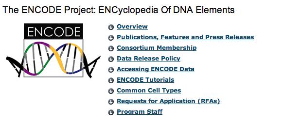 What material was used? DNA chip ENCODE fragments: 30 Mb database of transcriptionally active sequences in humans. 38 bp resolution Chromatin will be prepared from HeLa cells.