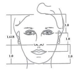6. This chart shows the different facial landmarksto evaluate vertical facial proportions.