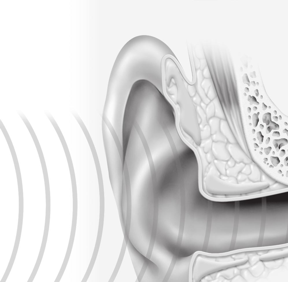 Key Concept Check 7. Identify What are the functions of the different parts of the human ear? Visual Check 8. Analyze How does the eardrum help you hear?