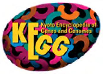 Kegg database