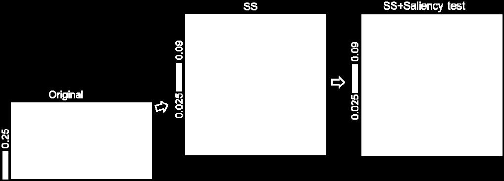 (C1) A Saliency-based algorithm is used to clean up background clutter after SS. (C2) A Saliency-based algorithm is used to clean up background clutter after PR. 5.