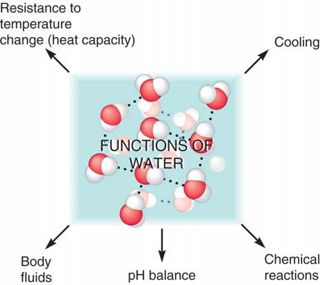 Functions of Water Page 375-376 Heat capacity water tends to resist changes in temperature. It is not considered a volatile substance.