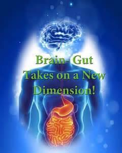 Heal Your Gut! Options 1 &2 1. The Ultimate Diet Summary of the stepping stones approach The Breakdown of Phase 1-10 Recommended foods 2.