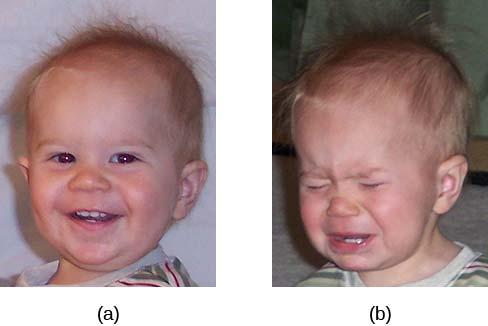 Toddlers can cycle through emotions quickly, being (a) extremely happy one moment and (b) extremely sad the next.