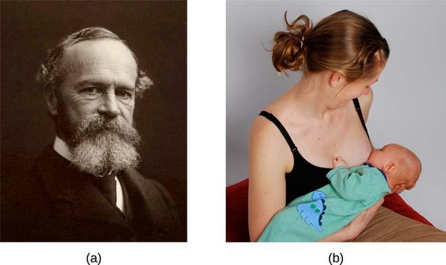 FIGURE 10.4 (a)william James proposed the instinct theory of motivation, asserting that behavior is driven by instincts.