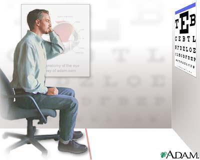 THE PHYSIOLOGY OF VISION Visual acuity Ratio of