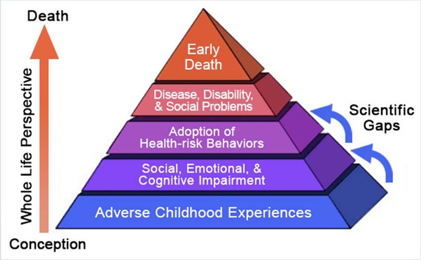Life Course Approach The Adverse Childhood Experiences Study,