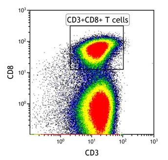c. Gate on cytotoxic T cells (CD3 positive, CD8 positive) d. Gate on tetramer-positive CD8 + T cells e.
