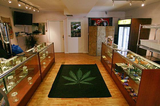 Marijuana Business Licenses Denver has 8 distinct