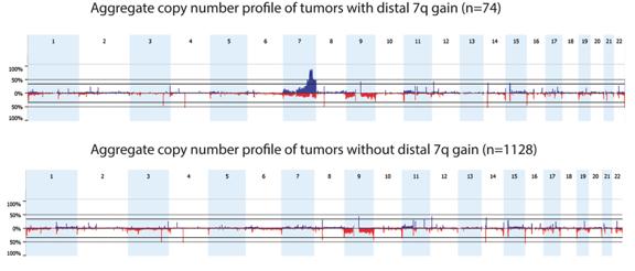 Supplementary Figure 3. Aggregate array comparative genomic hybridization profiles of tumors.