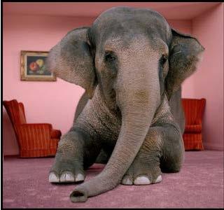 Atypical Melanoctyic Lesions The Elephant in the Living Room?