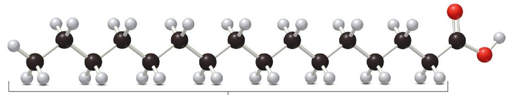 Fatty Acids! Fatty Acids! Hydrolyzable lipids are derived from fatty acids. Fatty acids are carboxylic acids (RCH) with long C chains of 12-20 C atoms.