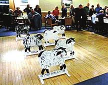 The Nomads are indebted to the Rotary Club of Bradford Bronte for coming up with the format and loaning the sheep for one night only. All was returned safely to the wool city THEY ALL WANT TO SUCCEED.