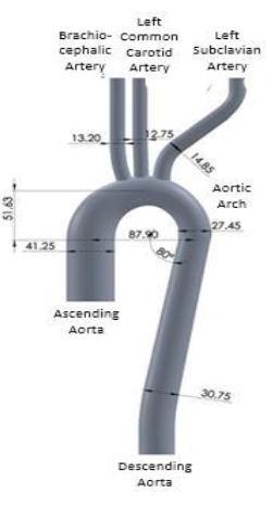 number, 1 to 7, corresponds to the aortic location shown in the figure Values for P were computed between the younger and older