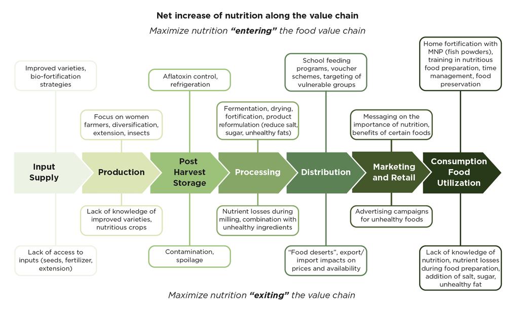 Source: Fanzo, J. C., Downs, S., Marshall, Q. E., de Pee, S., & Bloem, M. W. (2017). Value Chain Focus on Food and Nutrition Security.