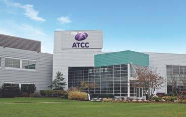 About ATCC Founded in 1925, ATCC is a non-profit organization with headquarters in
