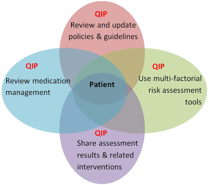 Central LHIN s Falls Quality Improvement Plan (QIP) Objective: To reduce falls among long-stay home care patients Measure: Percentage of adult long-stay home care patients that have a fall on their