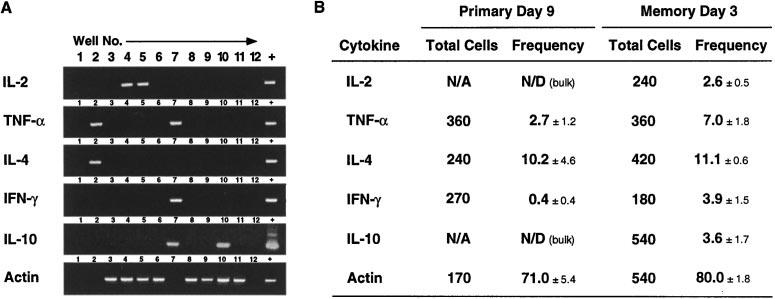 Figure 5. Frequency of cytokine-expressing PCC-specific Th cells directly ex vivo.