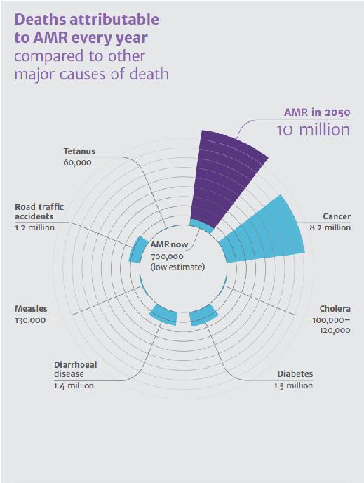 AMR a global health threat Resistant bacterial infections cause about 50 000 deaths in the US and Europe.