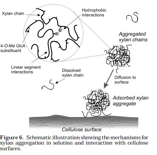 Retention of hetero-polysaccharides can impact paper