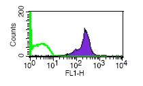 Figures 3 and 5). 1 Lyophilized exosomes Exosomes Fresh exosomes Exosomes 0.9 0.8 OD at 450nm 0.7 0.6 0.5 0.4 0.3 0.2 CD63 0.
