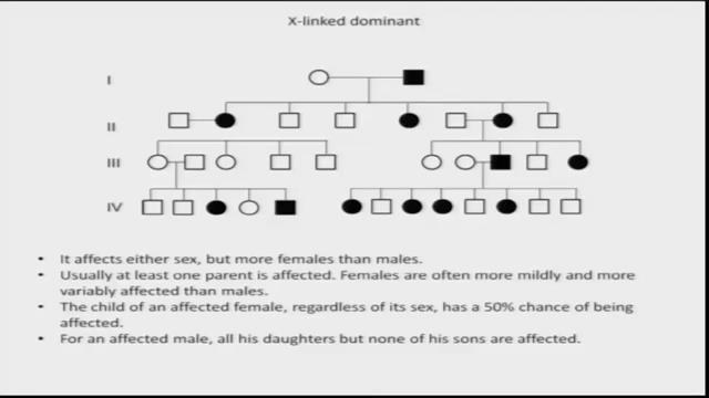 So here, it affects either sex, but more females than males. Why? Obviously you know, if it is a female, then she is going to give this X chromosome to two individuals in the next generation.
