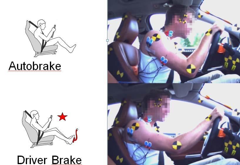 Driver Braking Anticipatory postural response present in voluntary