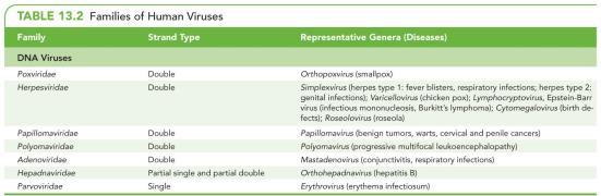 Classification of Viruses (pp.