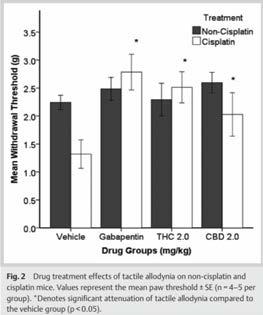 Cisplatin produced a reduction in mean threshold for paw withdrawal indicative of neuropathy that was attenuated by gabapentin, THC and CBD,