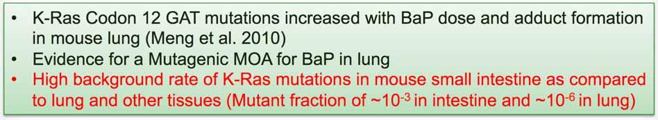K-Ras Mutations: Comparison with Benzo(a)pyrene (Mouse Duodenum, Day 91) K-Ras Codon 12 GAT mutations increased with BaP dose and adduct formation in mouse lung (Meng et al.