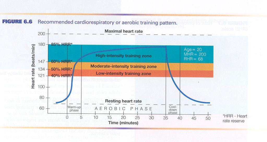 CARDIOVASCULAR TRAINING & EXERTION The information below shows ways you can determine various training zones (for a 20 year-old individual) and how hard you determine the level of the training you do.