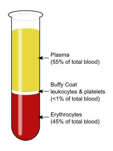 BUFFY COAT SAMPLE COLLECTION The buffy coat is the thin layer in between the red blood cells and plasma after centrifugation of the lavender-top tubes used for plasma sample collection during the