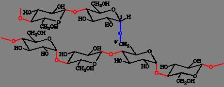 Amylose and amylopectin Amylose : a linear polymer 2 1-4