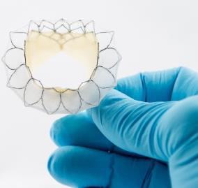 products for implantable medical devices Transcatheter
