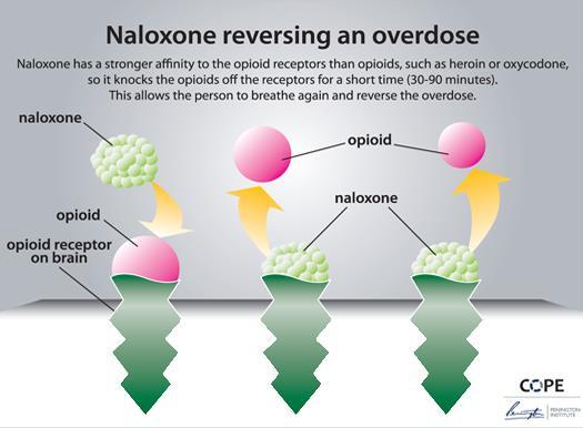 Naloxone: Mechanism of