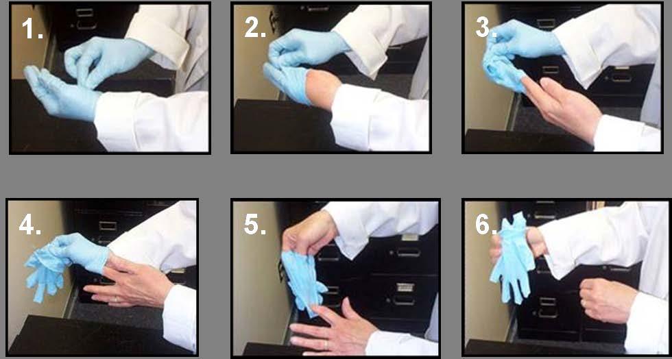 PPE: Gloves It is critical that you use the correct glove for the hazardous materials