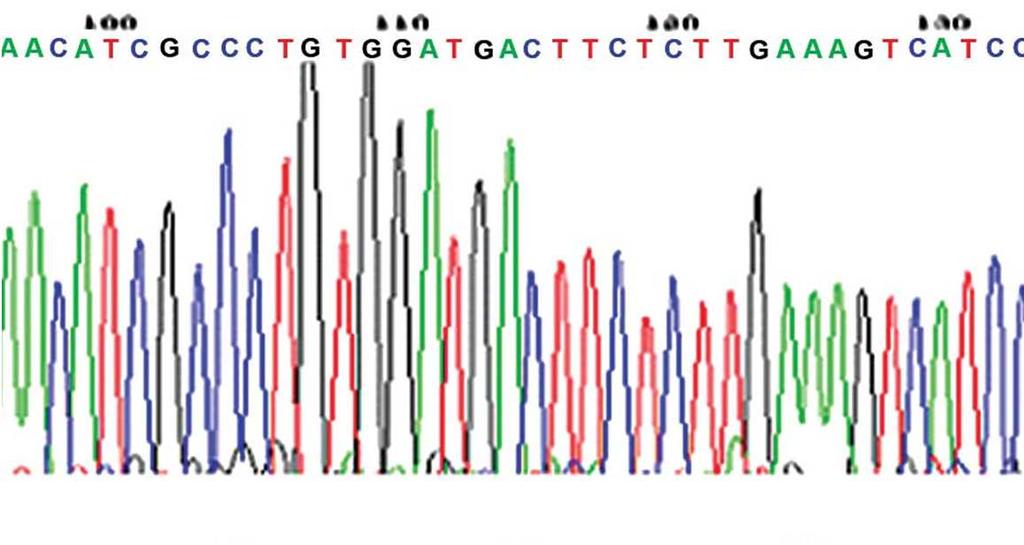 DNA SEQUENCING IS