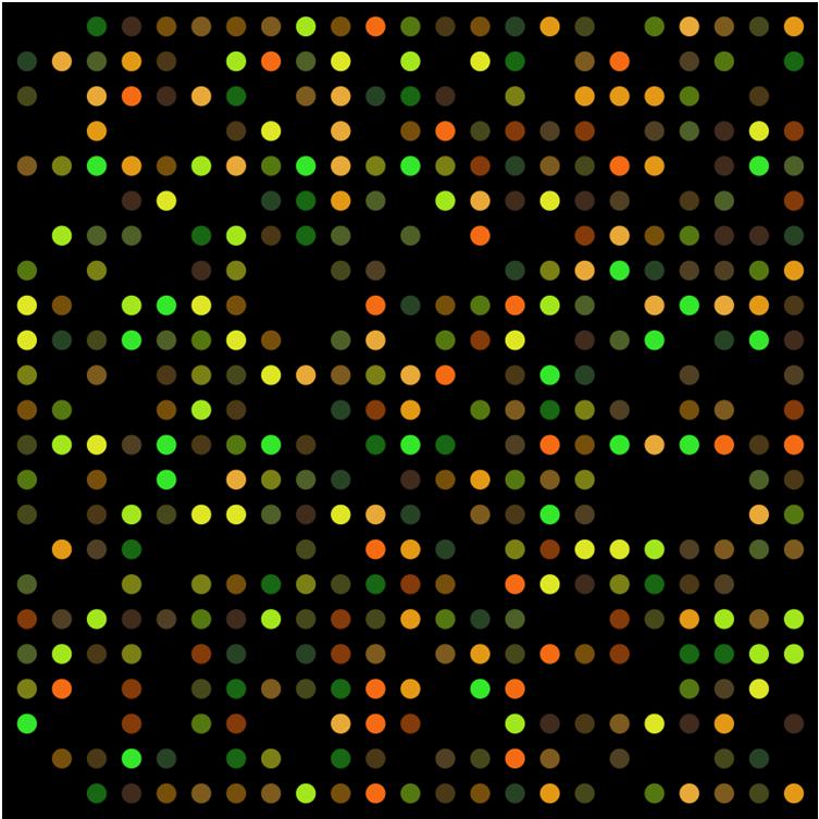 Gene expression profiling by Microarray Analysis DNA microarrays technology can be very well used to explore thousand of sequence of genes in a single run It can well