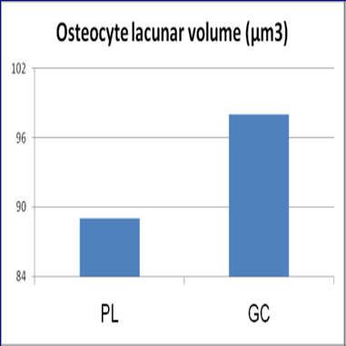 low doses s Increses Osteocyte